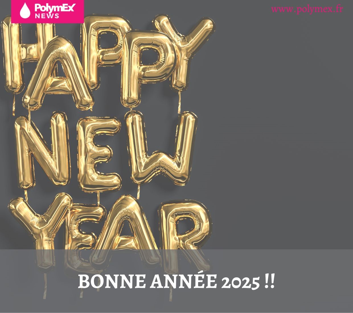BONNE ANNEE 2025